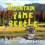 A Mighty Beetle