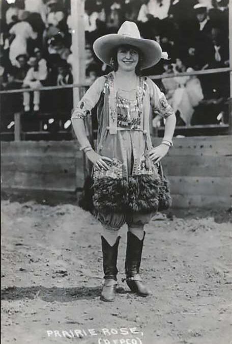 Photo of Prairie Rose